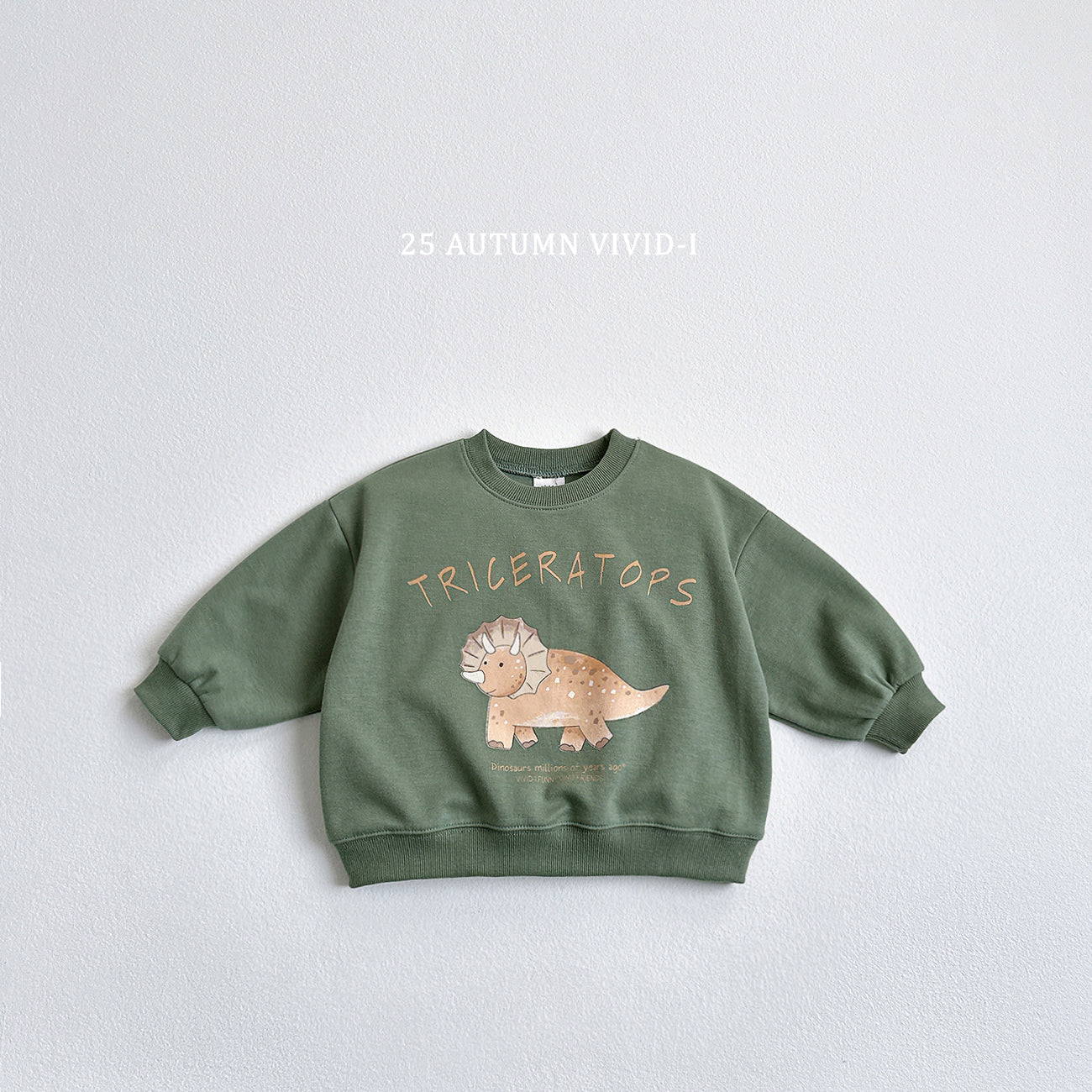 Dinosaur Sweatshirt