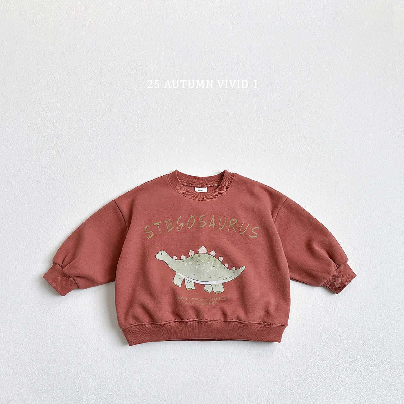 Dinosaur Sweatshirt