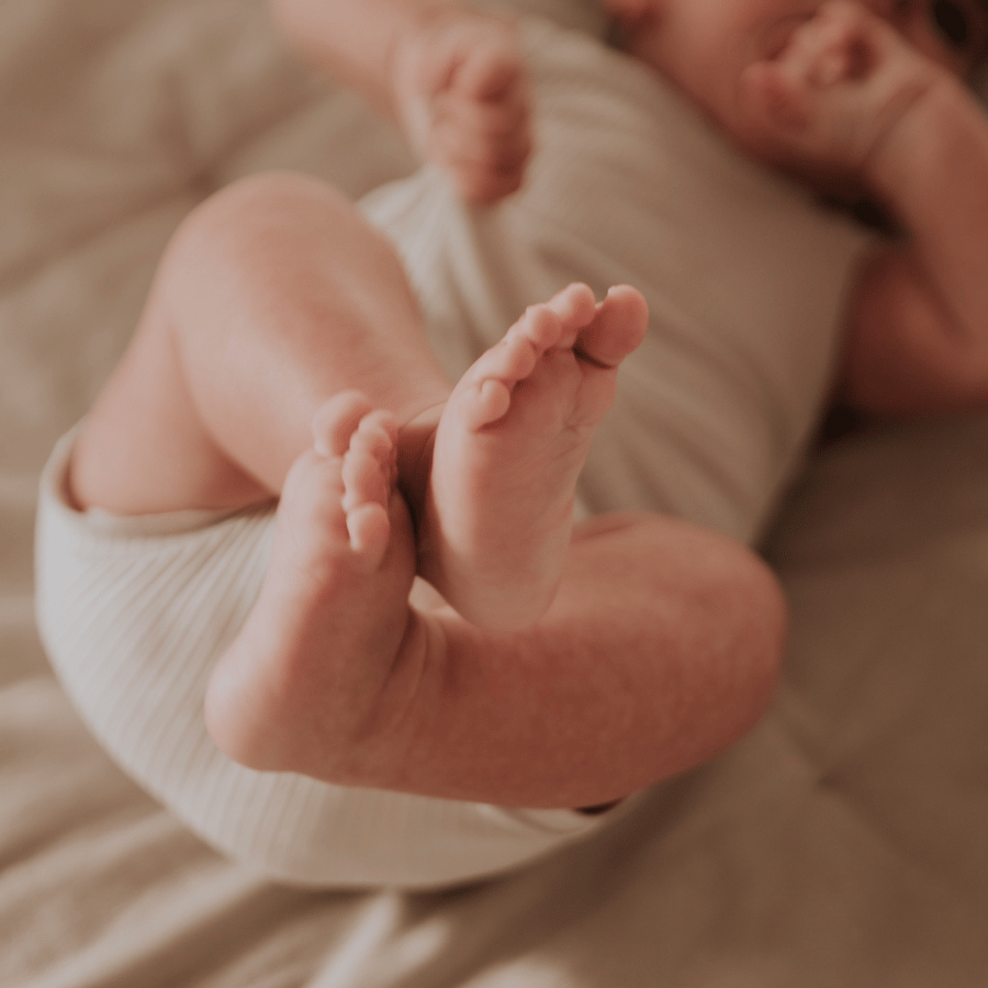 The Printed Bloomer - Linear Leaf