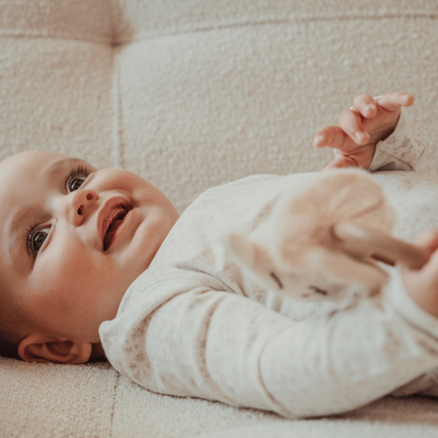 The Printed Blanket - Flutter Pink