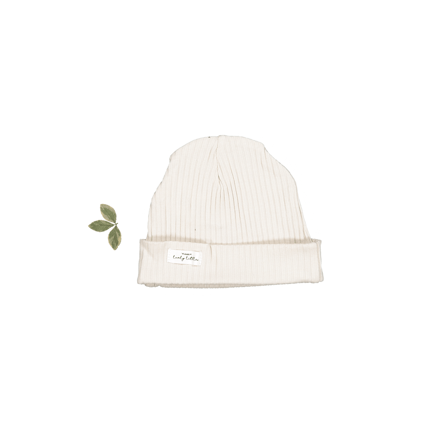 The Hat - Cream