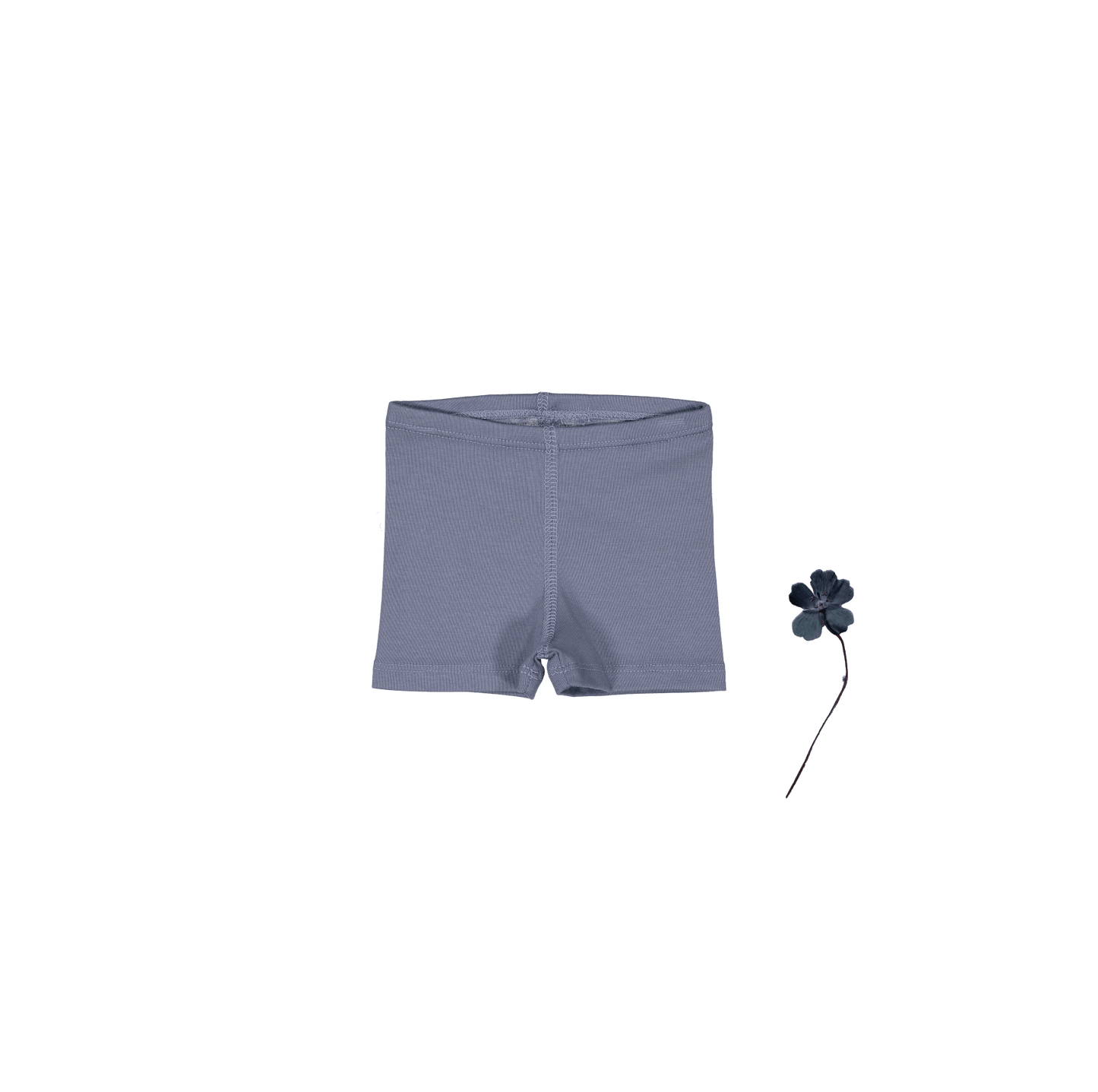 The Short - Midnight