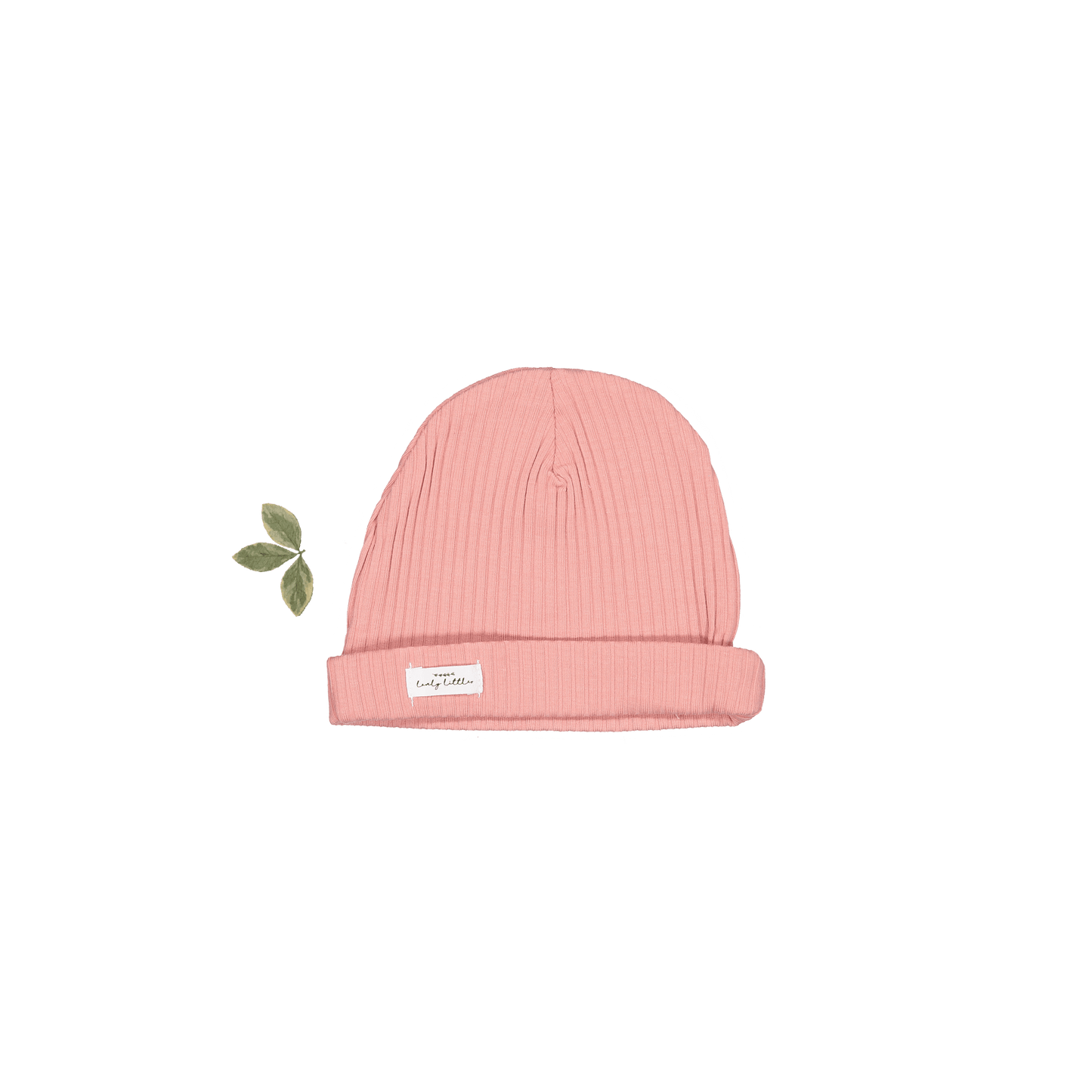 The Hat - Rose