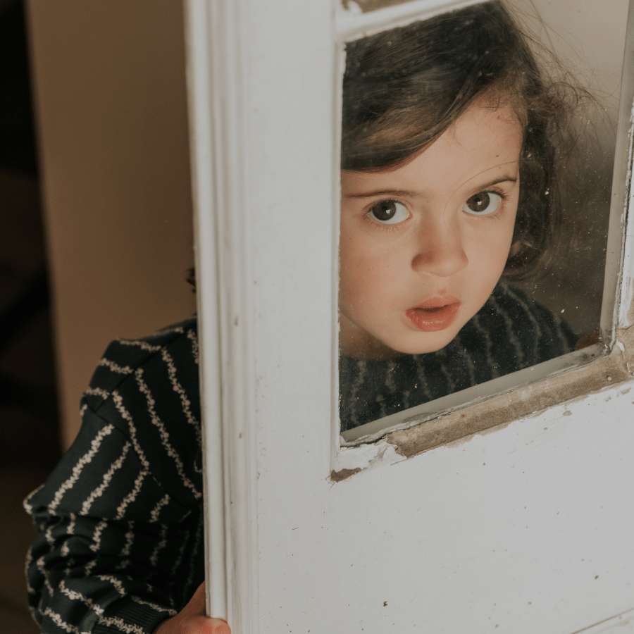 The Printed Sweatshirt - Linear Stem