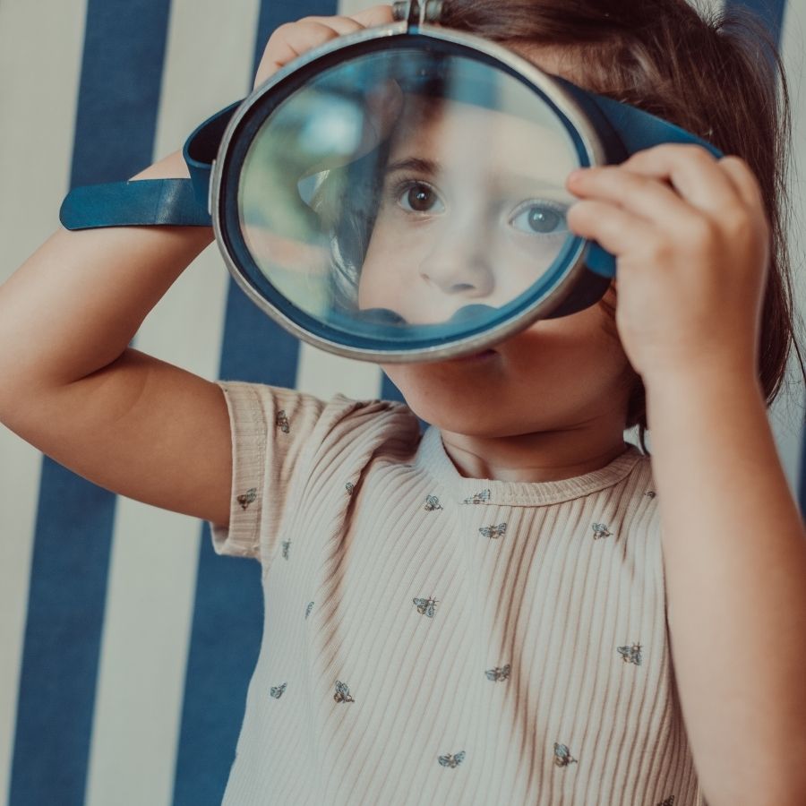 The Printed Short Sleeve Tee - Bee