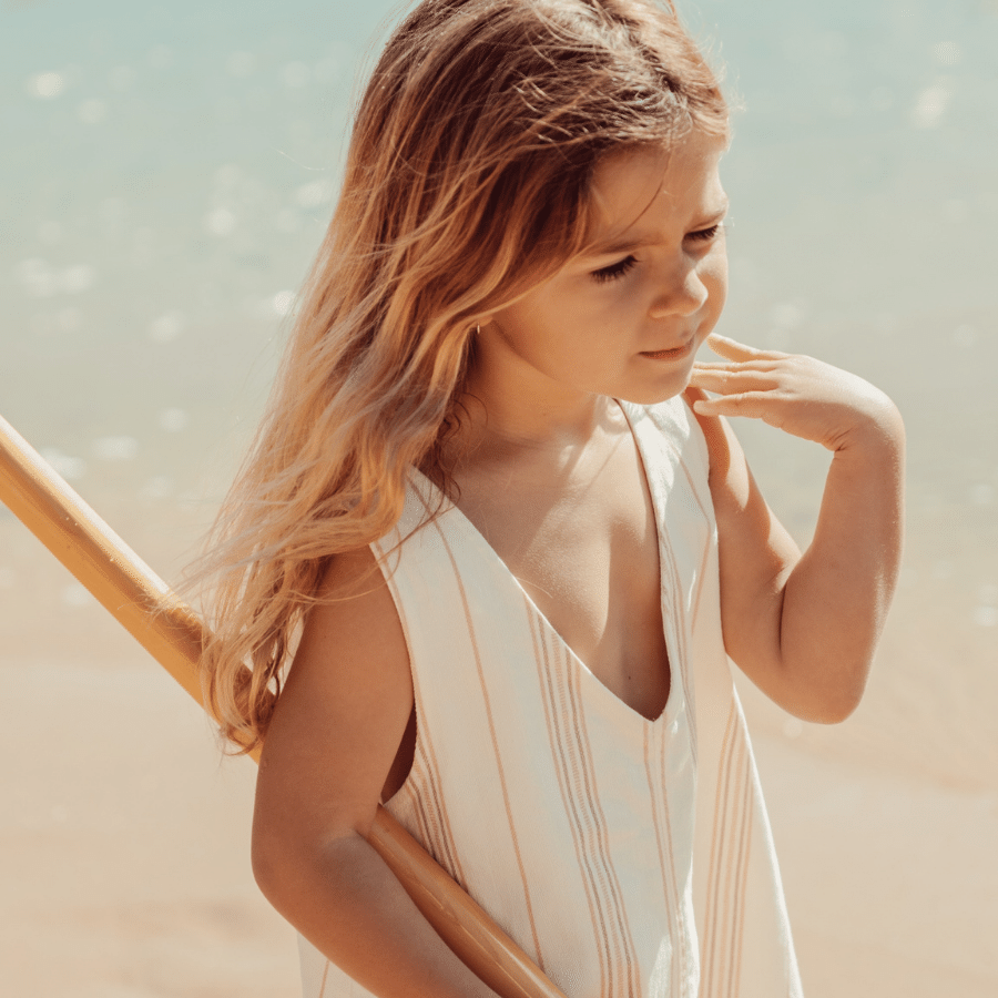 The Denim Dress - Rose Stripe