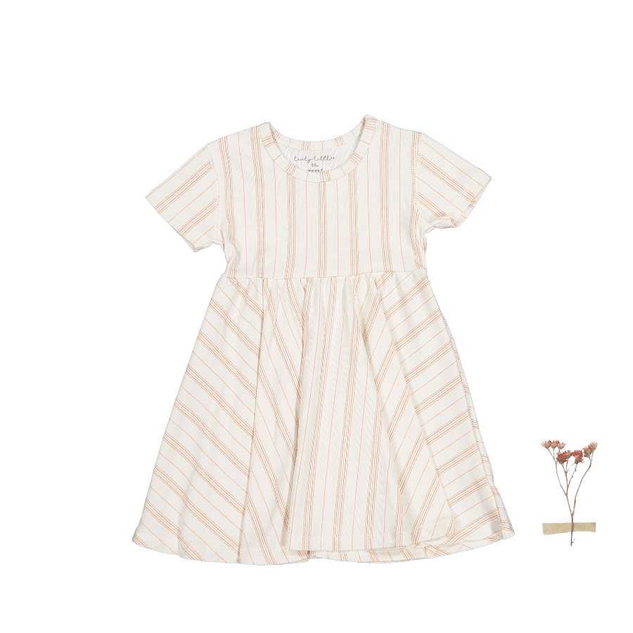 The Printed Short Sleeve Dress - Rose Stripe