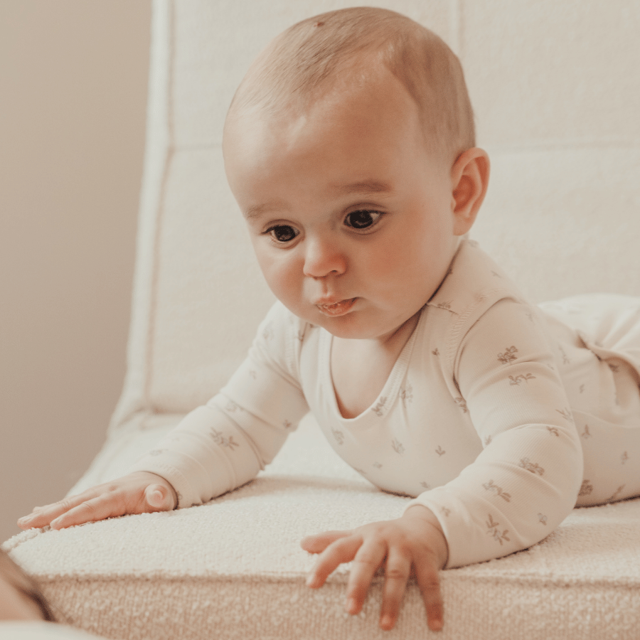 The Printed Romper - Berry Blue