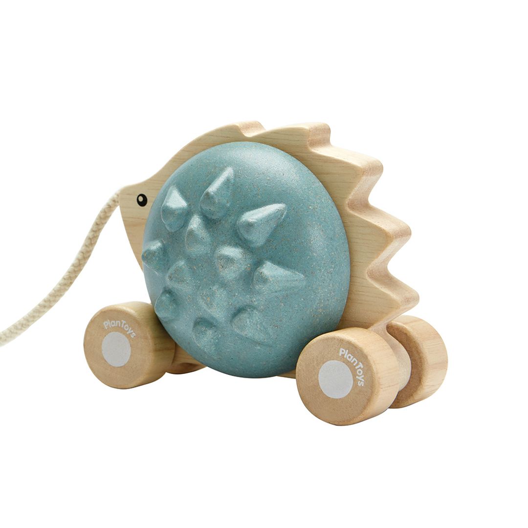 Pull-Along Hedgehog - Blue