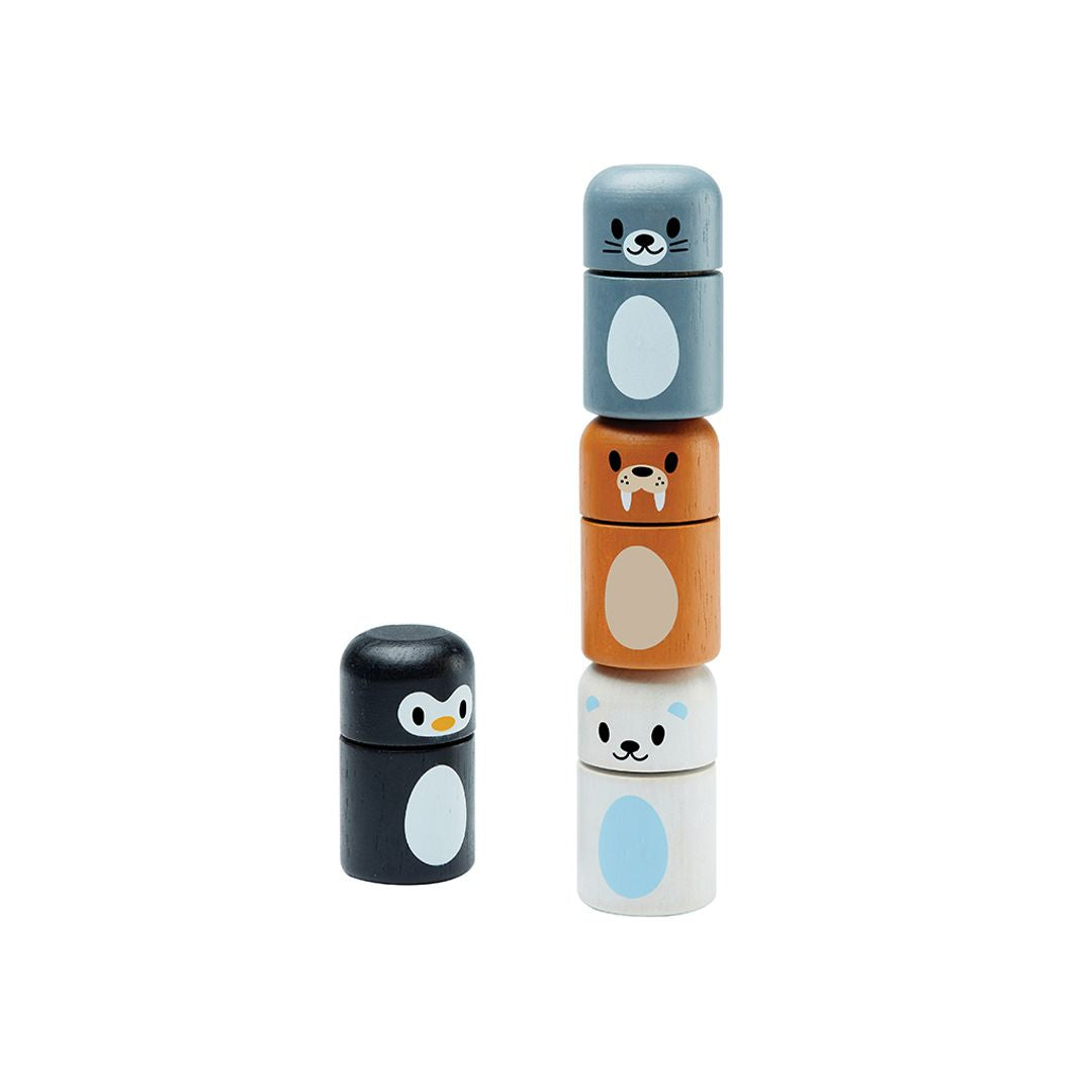 Arctic Animal Matching