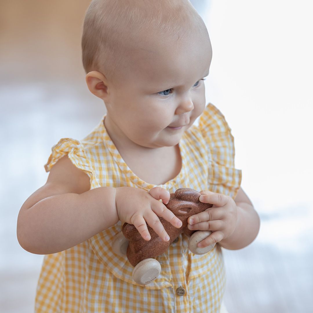 Push Along Bunny - Brown