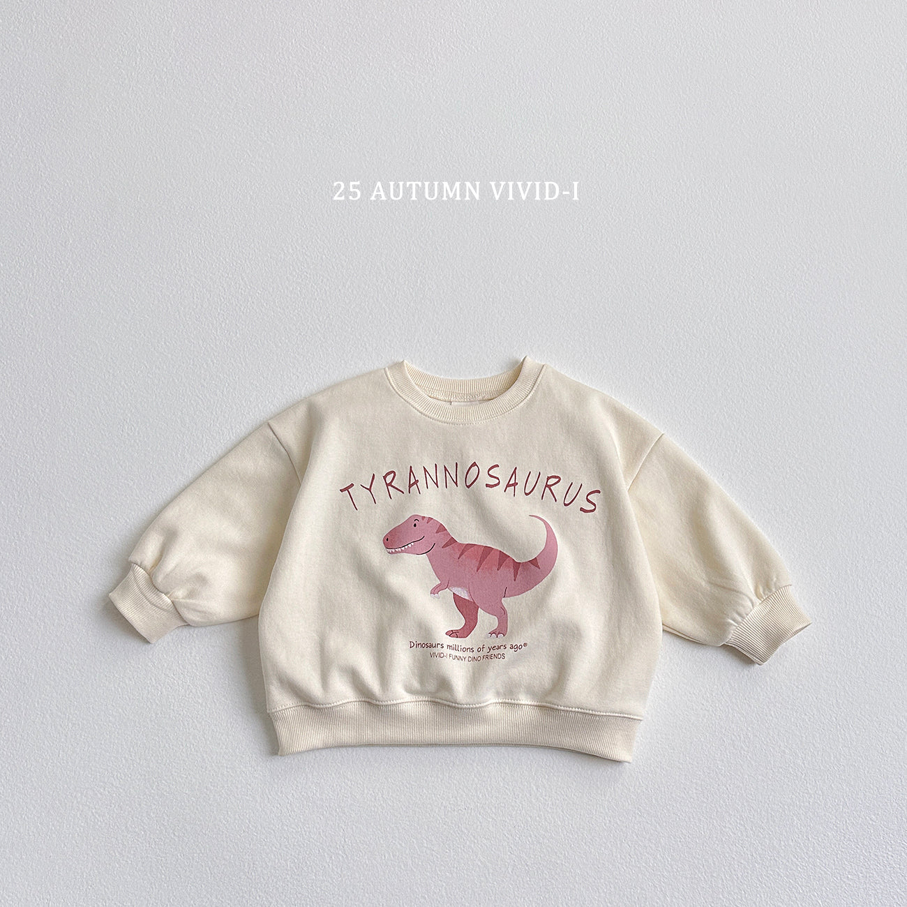 Dinosaur Sweatshirt
