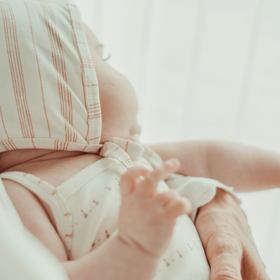 The Printed Hat - Mini Tulip