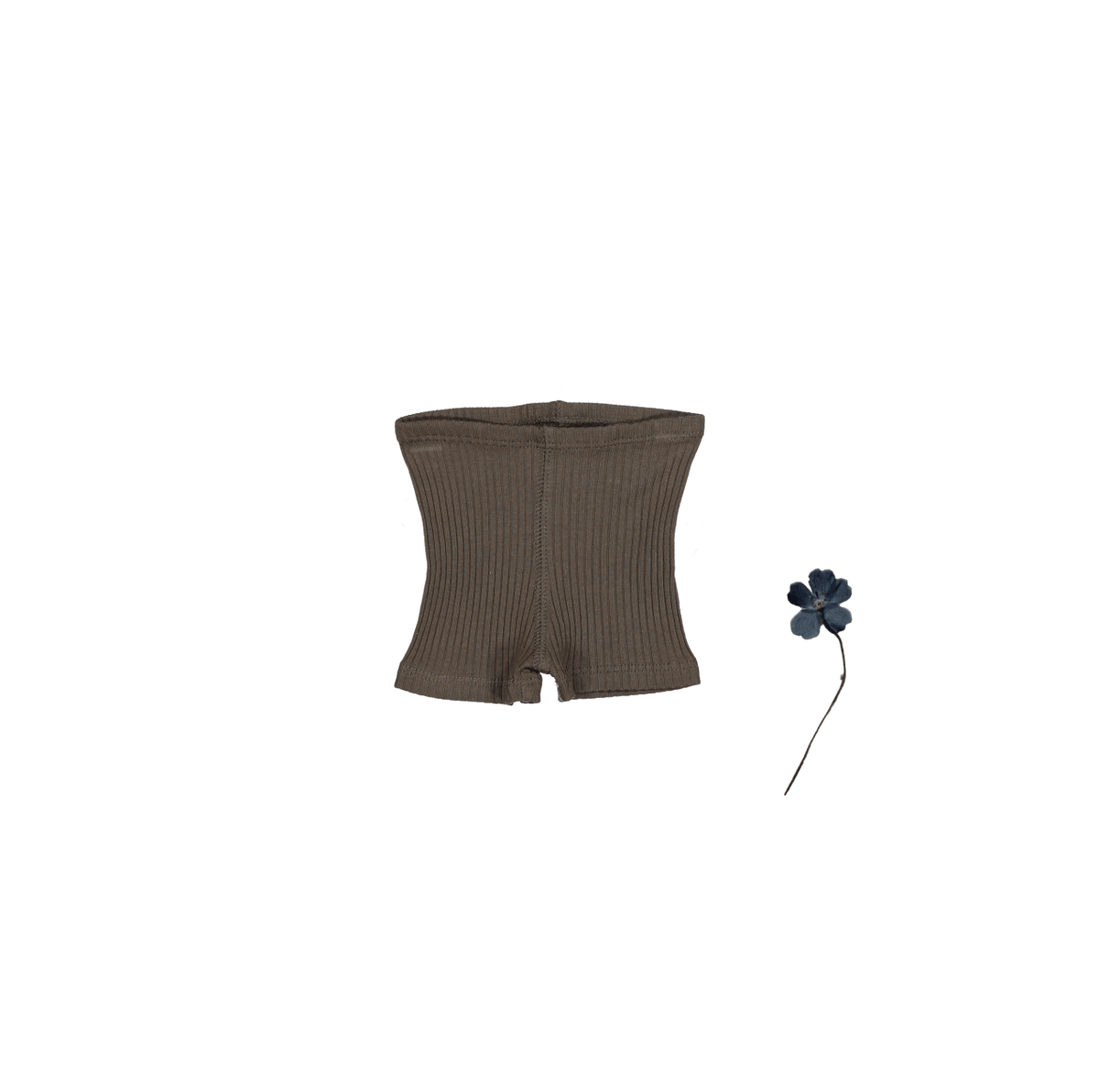 The Short - Cocoa