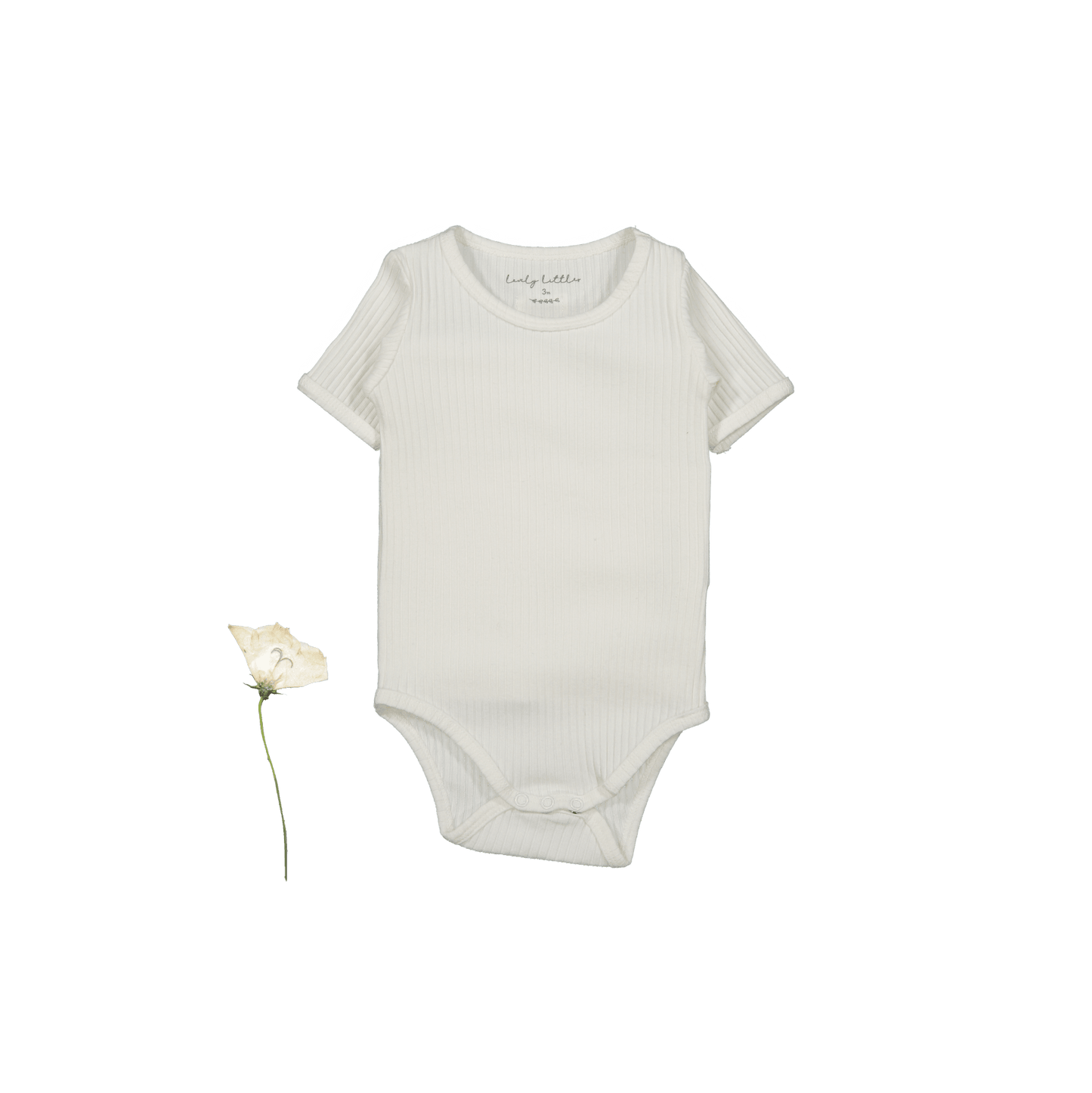 The Short Sleeve Onesie - Bone