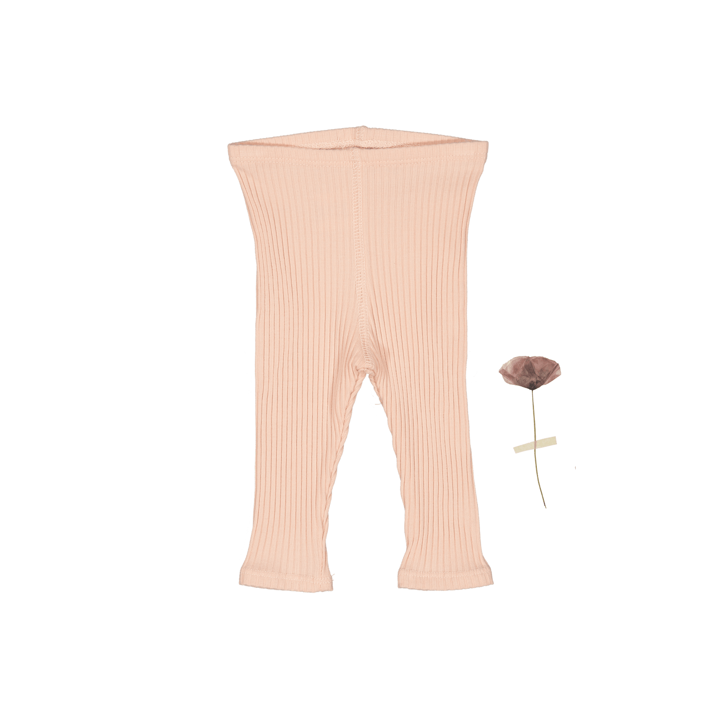 The Legging - Powder