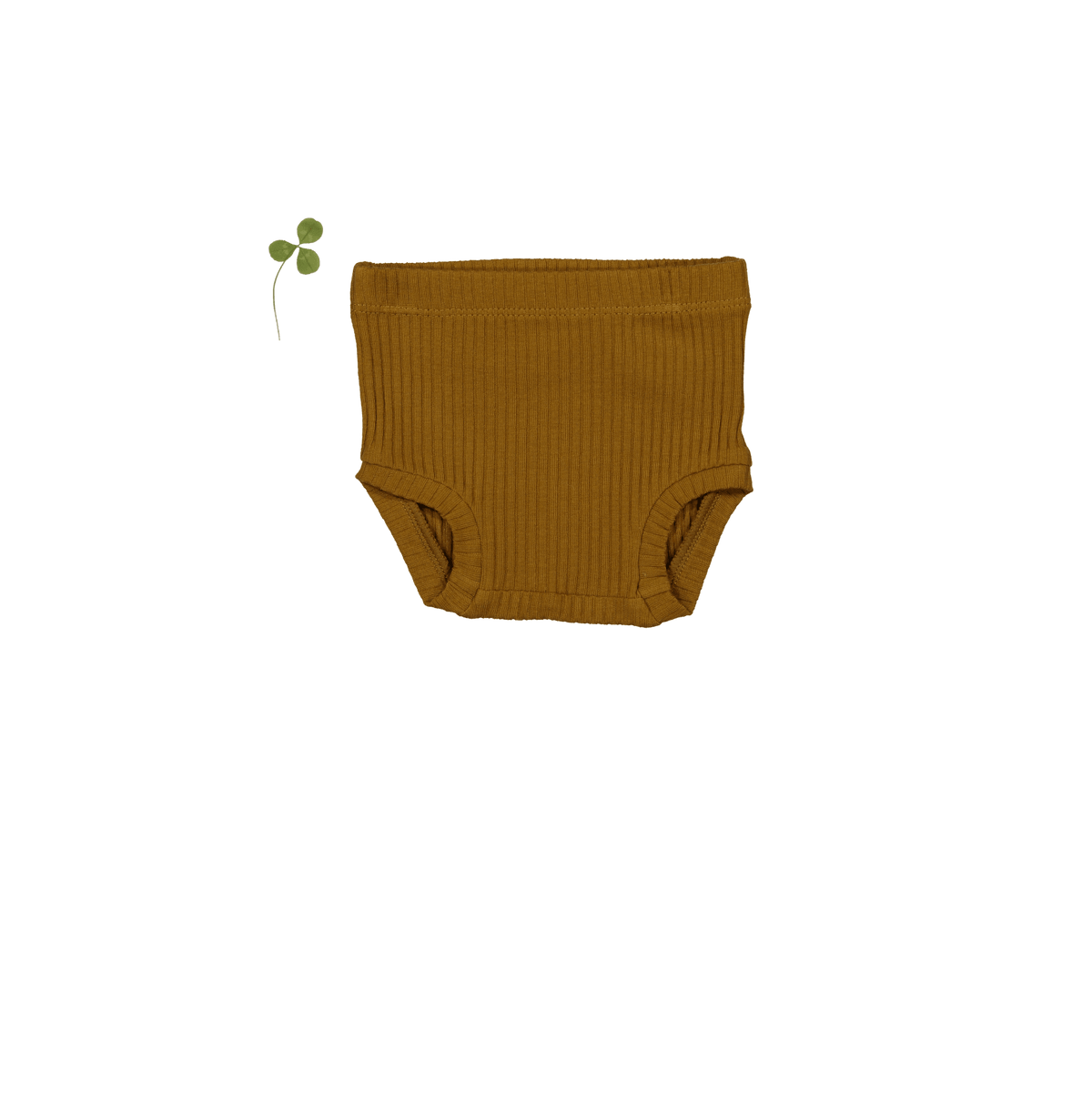 The Bloomer - Cider