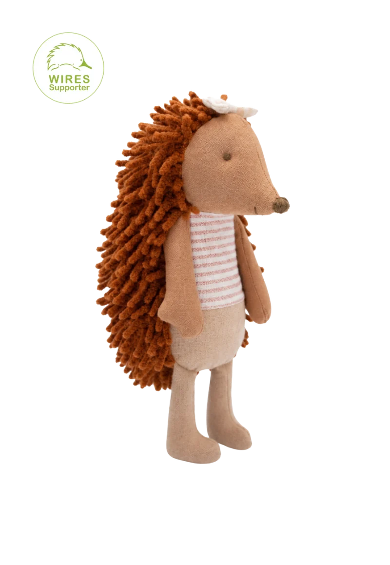 Riva | The Campground Host Echidna
