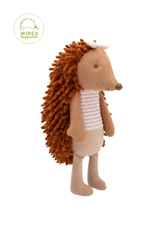 Riva | The Campground Host Echidna